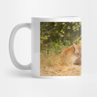 Red Fox, Algonquin Park Mug